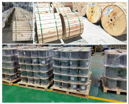 صورة - 2024-12-02T163520.353.jpg